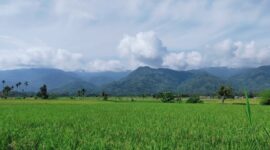Semangat Baru Kesatuan Kerabat Kampai 
Alam Surambi Sungai pagu. Foto Yulizal Yunus