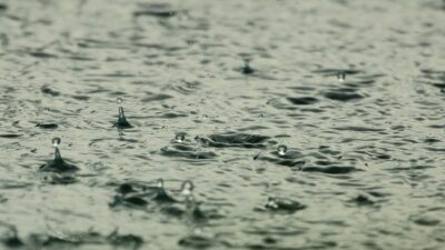 Hujan di Akhir Januari | Sri Jumaini