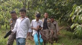 Pelajar yang terjaring razia rutin oleh Satgas Trantibum Pessel di atas bukit yang berada di Jalan Lingkar Painan Salido, Selasa (26/7).