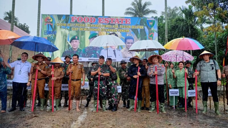 Penanaman jagung serentak di Nagari Koto Berapak, Kecamatan Bayang, Kabupaten Pesisir Selatan, Senin (25/7)