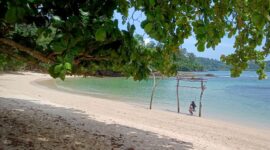 Ilustrasi jumlah butir pasir di pantai dan banyak ikan di laut