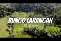 Lirik Lagu Minang Bungo Larangan - Tiar Ramon. Lagu Minang lawas populer inipun di nyanyikan ulang oleh Boy Sandy, Beniqno dan sederet penyanyi lainnya.
