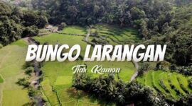 Lirik Lagu Minang Bungo Larangan - Tiar Ramon. Lagu Minang lawas populer inipun di nyanyikan ulang oleh Boy Sandy, Beniqno dan sederet penyanyi lainnya.