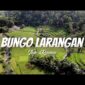 Lirik Lagu Minang Bungo Larangan - Tiar Ramon. Lagu Minang lawas populer inipun di nyanyikan ulang oleh Boy Sandy, Beniqno dan sederet penyanyi lainnya.