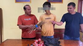 Pelaku terduga penyalahgunaan narkoba jenis ganja yang ditangkap oleh Tim Opsnal Sapu Jagat Satresnarkoba Polres Pessel bersama jajaran Polsek Sutera, Kamis (25/8).