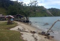 Bencana abrasi menerjang Pantai Paku yang terletak di Nagari Sungai Nyalo Mudiak Aia, Kecamatan Koto XI Tarusan. Akibatnya, lapak milik warga yang berjualan terpaksa digeser tiap tahun.