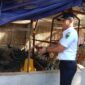 Wali Nagari Talaok Ilwandri saat meninjau pengembangan budidaya ayam kampung unggul di daerah tersebut 