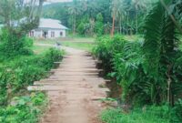 Kondisi jembatan yang menghubungkan dua kampung di Kecamatan Linggo Sari Baganti 