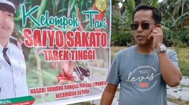 Wali Nagari Rawang Gunung Malelo Surantih Aprizal