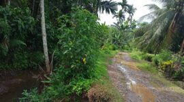 Jalan Penghubung 2 Kampung di Linggo Sari Baganti Rusak