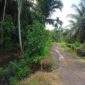 Jalan Penghubung 2 Kampung di Linggo Sari Baganti Rusak