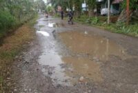 Salah satu ruas jalan yang berkondisi rusak berat di Kabupaten Pesisir Selatan