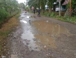 Tak Kalah dari Lampung, Jalan Berkondisi Rusak Berat di Pessel Capai 41 Persen