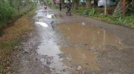 Salah satu ruas jalan yang berkondisi rusak berat di Kabupaten Pesisir Selatan