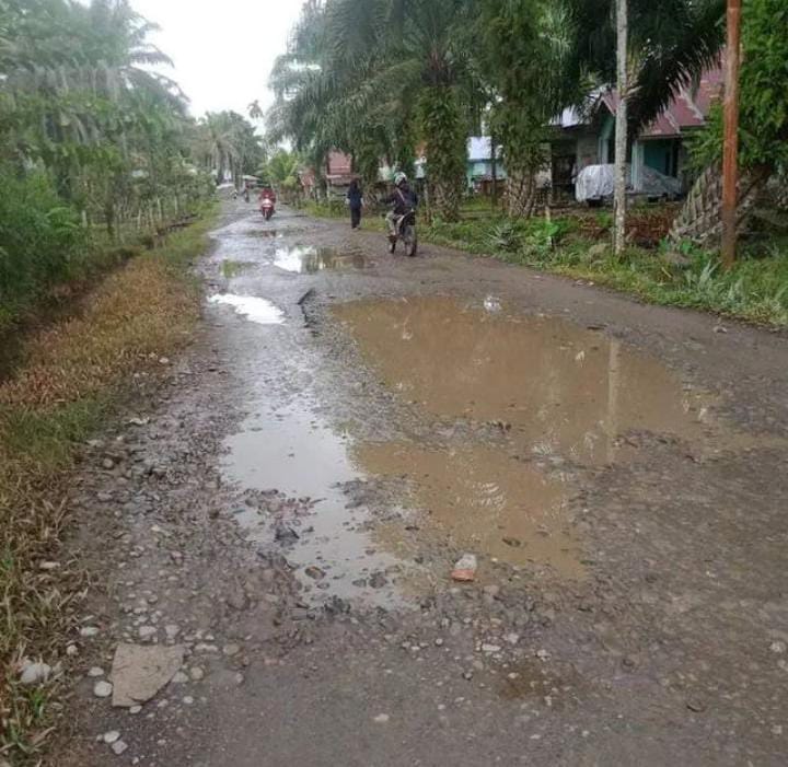 Salah satu ruas jalan yang berkondisi rusak berat di Kabupaten Pesisir Selatan