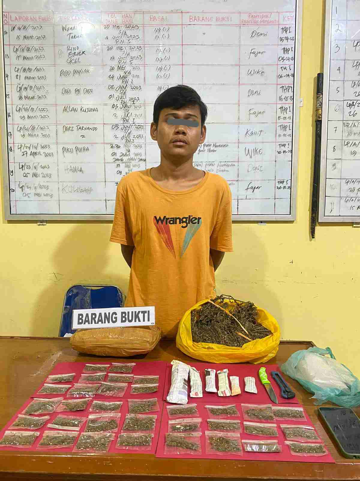 Waduh, Pemuda 23 Tahun di Pessel Ini Kantongi 42 Paket Ganja Saat Dibekuk Polisi