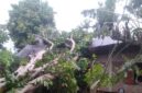 Rumah warga di Kampung Koto Langgang, Kenagarian Rantau Simalenang Air Haji, rusak parah setelah tertimpa pohon duku akibat angin kencang, Minggu (27/4) sore.
