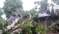 Rumah warga di Kampung Koto Langgang, Kenagarian Rantau Simalenang Air Haji, rusak parah setelah tertimpa pohon duku akibat angin kencang, Minggu (27/4) sore.
