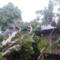 Rumah warga di Kampung Koto Langgang, Kenagarian Rantau Simalenang Air Haji, rusak parah setelah tertimpa pohon duku akibat angin kencang, Minggu (27/4) sore.
