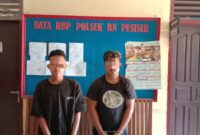 Dua pemuda ditangkap dalam operasi pengungkapan kasus narkoba oleh Satresnarkoba Polres Pessel