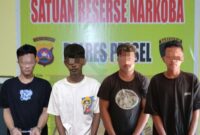 Empat pemuda yang diduga sebagai pengedar narkoba jenis sabu berhasil diringkus Satresnarkoba Polres Pessel dalam waktu satu hari di dua kecamatan.