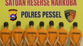 Ilustrasi 7 orang terduga pelaku narkoba di Pesisir Selatan.