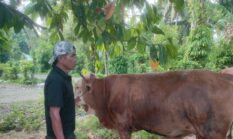berita-pilihan-foto