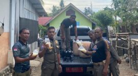 Petugas Satpol PP dan Damkar Pesisir Selatan saat mengamankan barang bukti puluhan liter tuak dalam razia peredaran minuman keras, Kamis (12/6/2025).
