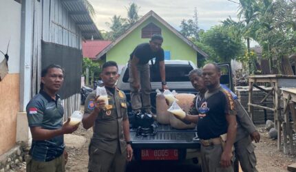 Satpol PP Pessel Razia Miras, Puluhan Liter Tuak Siap Edar Disita di Tapan