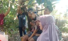 berita-pilihan-foto