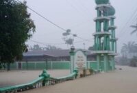 10 Daerah di Aceh Status Darurat Bencana, 46.893 Jiwa Terdampak - Dua Meninggal Dunia

