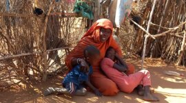 1.700 Anak Sudan Menderita Gizi Buruk di Kamp Tawila, Kelompok Lokal Memperingatkan – RakyatPos.id

