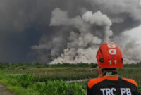 BNPB Evakuasi 300 Warga Terdampak Letusan Semeru

