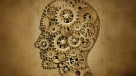 Bagaimana Otak Memilih Apa yang Perlu Diingat dan Apa yang Harus Dilupakan

