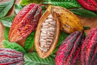 Bahkan Mendinginkan Bumi Mungkin Tidak Menyelamatkan Kopi, Anggur, dan Cokelat Anda

