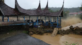 Bencana Alam di Sumatera Tak Bisa Dilepas dari Illegal Logging!

