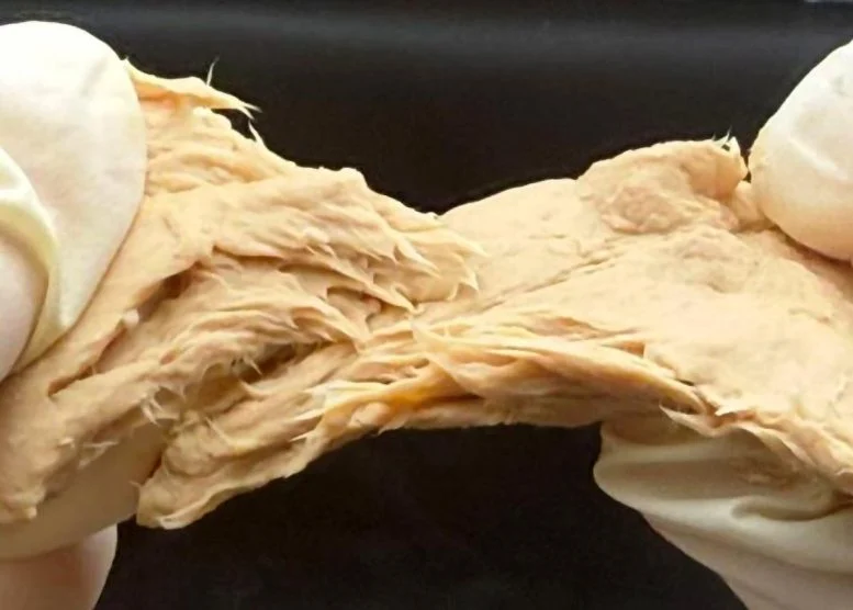 CRISPR Meningkatkan Jamur Mirip Daging Menjadi Pembangkit Listrik Protein Berkelanjutan

