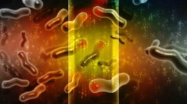 Dorongan Baru yang Menakjubkan untuk Melindungi 99% Kehidupan yang Tak Terlihat

