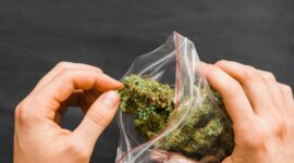 Gulma Anda Mungkin Tidak Sekuat yang Tertulis di Label, Temuan Para Ilmuwan

