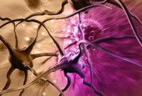 Hasil Luar Biasa: Dua Suplemen Murah Menjanjikan dalam Menyembuhkan Salah Satu Kanker Otak Paling Mematikan

