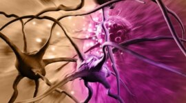 Hasil Luar Biasa: Dua Suplemen Murah Menjanjikan dalam Menyembuhkan Salah Satu Kanker Otak Paling Mematikan

