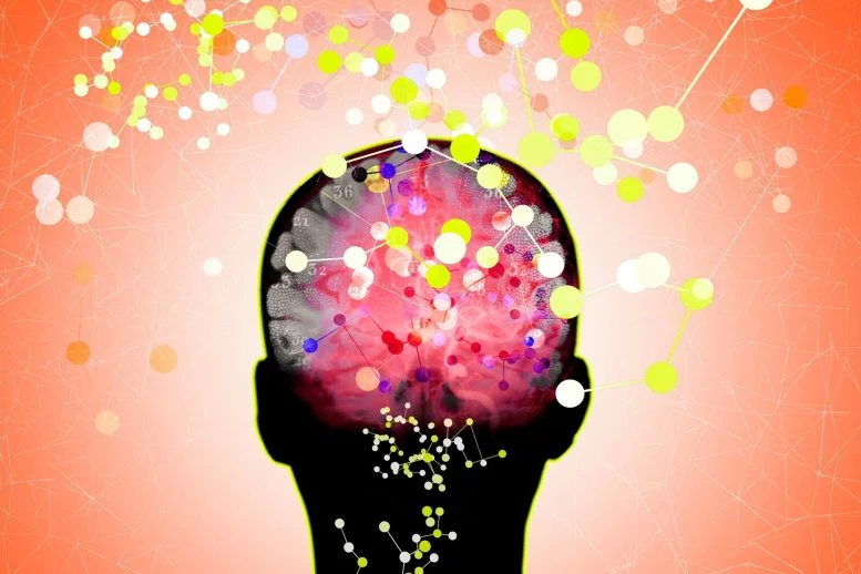 Ilmuwan Menemukan Suplemen Sederhana yang Dapat Membantu Memperlambat Alzheimer

