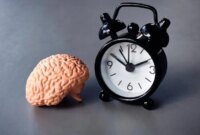 Ilmuwan Mengatakan Waktu Sama Pentingnya dengan Diet dan Olahraga untuk Otak Anda