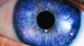 Ilmuwan Mengidentifikasi “Tujuan” Kesadaran Evolusioner

