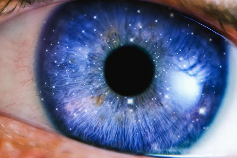 Ilmuwan Mengidentifikasi “Tujuan” Kesadaran Evolusioner

