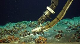 “Ini Benar-benar Kejutan”: Ahli Geologi Menemukan Anomali Lautan 4.250 Kaki di Bawah Permukaan

