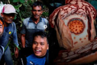 Keras! Anies mengkritisi Universitas Oxford yang tidak menyebut peneliti Indonesia yang ikut serta dalam penemuan Rafflesia Hasseltii

