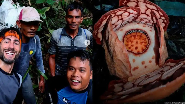 Keras! Anies mengkritisi Universitas Oxford yang tidak menyebut peneliti Indonesia yang ikut serta dalam penemuan Rafflesia Hasseltii

