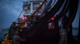 Laporan PBB – Monitor Timur Tengah

