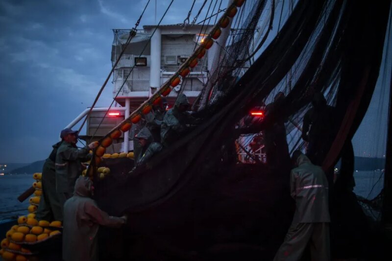 Laporan PBB – Monitor Timur Tengah

